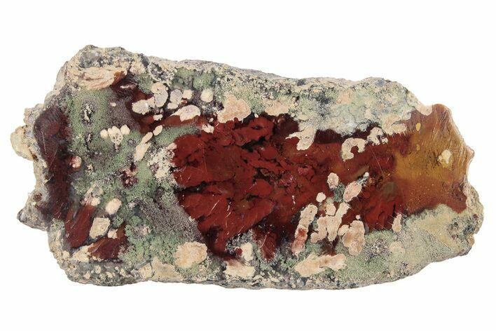 Polished Colorful Plume Agate Slab - Java, Indonesia #271486